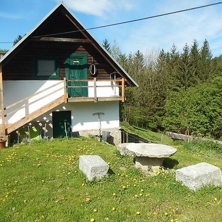 Ferienhaus Am Reitbauernhof Luckyranch Mellach  Exterior photo